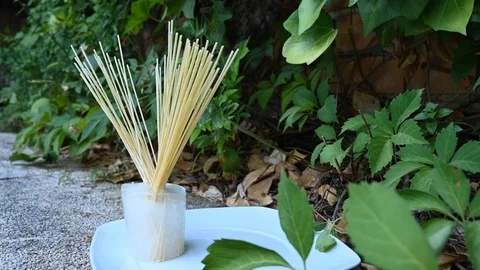 Time-lapse that shows how ice cubes melt with spagetty Stock Footage 115097615