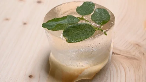 Time-lapse that shows how ice cubes melt with a plant Stock Footage 115119565