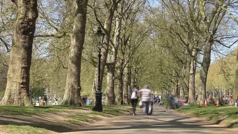 Time lapse. Sidewalk in the city park. Stock Footage 74403675