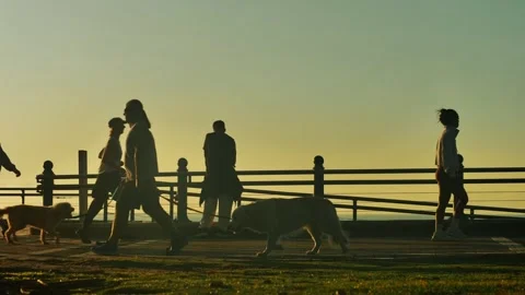 Time lapse Silhouette activity on a promenade at sunrise 4K Video stock 273121835