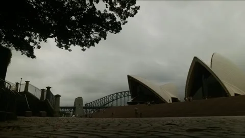 Time lapse Silhouette tree at Sydney Opera House and bridge 4K Stock Footage 302118610