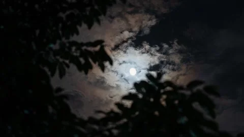 Time lapse of the simple natural night sky with moon and moving clouds Video stock 304221864