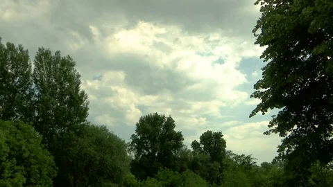 Time lapse sky above the forest Stock Footage 89771650