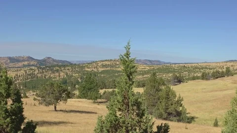 Time Lapse Sky darkens during solar eclipse oregon totality Stock Footage 81921350