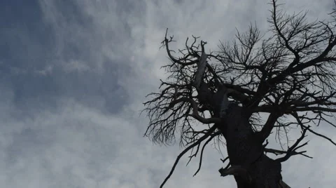 Time Lapse of the Sky Stock Footage 68737736