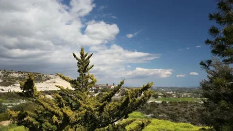 Time lapse of sky in forest. Stock Footage 175143998
