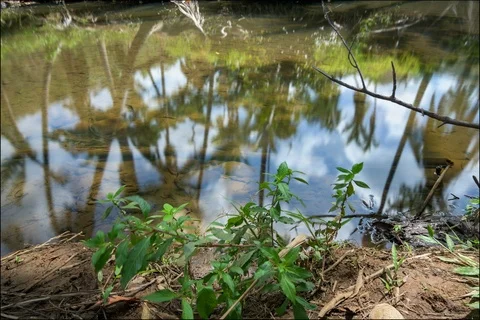 Time lapse of sky reflection in river Stockbeeldmateriaal 91117266