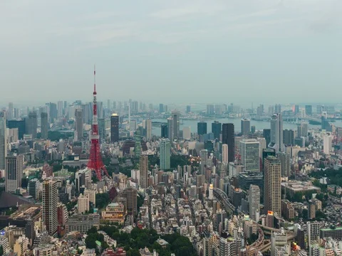 Time-lapse of Skyline with the Tokyo tower at sunset Stock-Footage 72805630