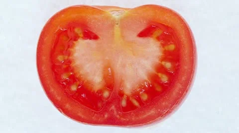 Time Lapse of a slice of tomato decaying Stock Footage 10879296