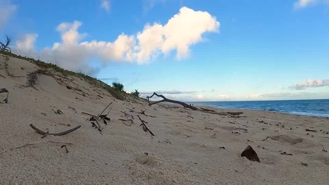 Time lapse with a small crab entering and leaving its house Stock Footage 179438369