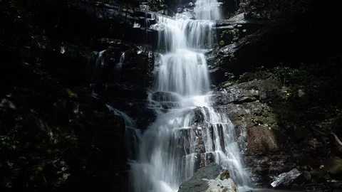 Time lapse of a small flowing waterfall in a forest, India Vídeo Stock 120768577