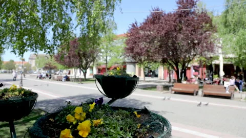 Time lapse small town square - camera moving 動画素材 153235919