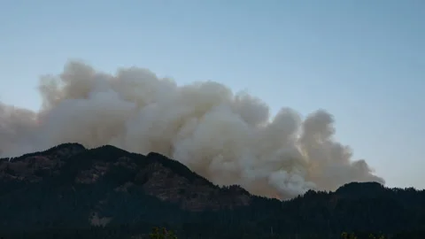 Time lapse smoke forest fire 스톡 동영상 145828513