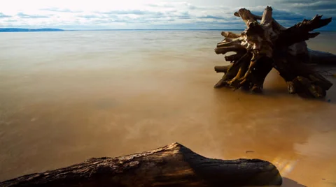 Time lapse snag on beach Stock Footage 34148440