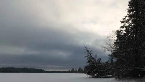 Time lapse of snow falling in a national park with a large lake and trees. Stock Footage 143666768