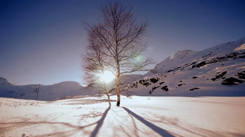 Time lapse of snow winter landscape Stock Footage 64540518