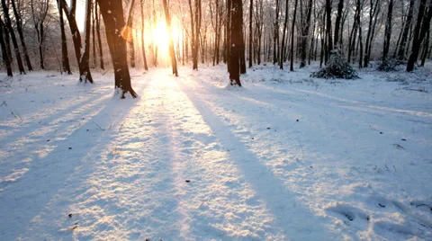 Time lapse of  snowy scene in a forest with sun setting and shining through the 스톡 동영상 32944895