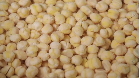 Time-lapse of soaking raw chickpeas In Water Before Cooking. Stock Footage 218032027