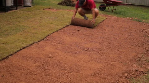 Time-lapse of sod being laid on fresh dirt. Stock Footage 64539588