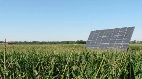 Time Lapse of Solar Panel Tracking the Sun in a Corn Field Stock Footage 8562873