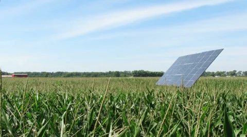 Time Lapse of Solar Panel Tracking the Sun in a Corn Field Stock Footage 8563644