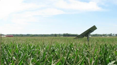Time Lapse of Solar Panel Tracking the Sun in a Corn Field Stock Footage 8563652