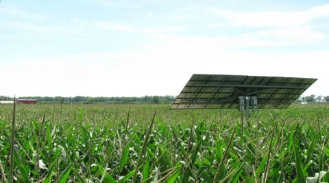 Time Lapse of Solar Panel Tracking the Sun in a Corn Field Stock Footage 8563665