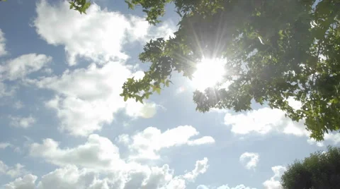 Time lapse of spring clouds passing over a tree in Oak View, California. Stock Footage 1025842