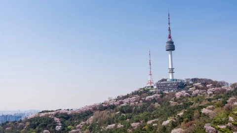 Time lapse of Spring in N Seoul tower. Video stock 102352678