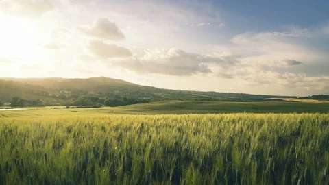 Time lapse, spring sunset in Tuscany, Italy Video stock 118399309