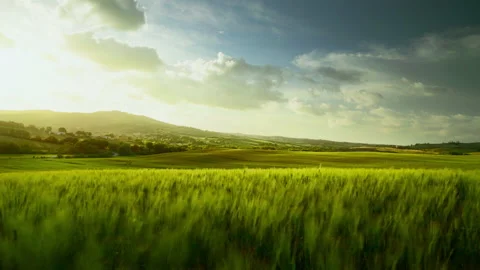 Time lapse, spring sunset in Tuscany, Italy Stock Footage 201589041