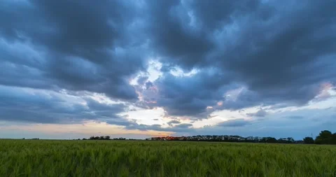Time lapse  with spring wheat field Stock Footage 131254532