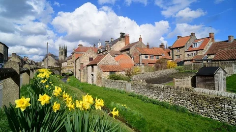 Time lapse springtime daffodils at Helmsley North Yorkshire Moors UK Stock Footage 126717743