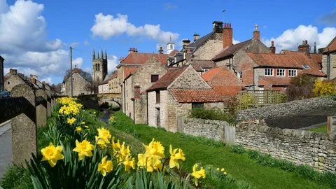 Time lapse springtime daffodils at Helmsley North Yorkshire Moors UK Stock Footage 126718056