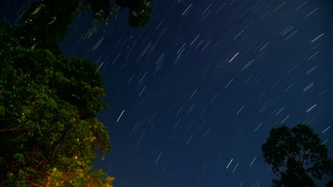 Time-lapse of Star trails in the forest Stock Footage 158467367
