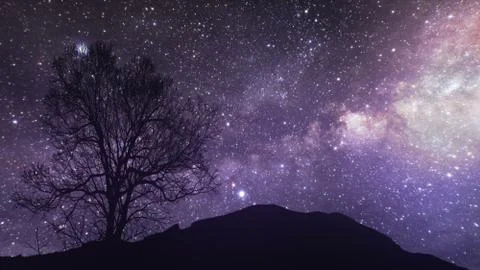 A time lapse of a starry night 3d illustration. Elements of this image furnis Foto stock