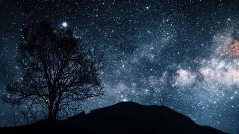 A time lapse of a starry night 3d illustration. Elements of this image furnis Foto stock