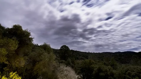 Time-Lapse Starry Night in Forest with Clouds Moving Stock Footage 301337299