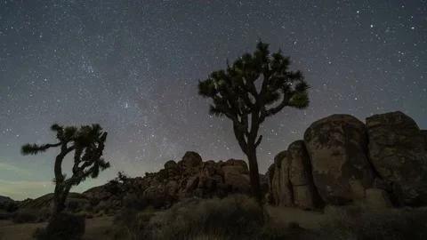 Time Lapse Starry Night Sky Milky Way over Joshua Trees, Rocks, Desert Landscape Stock Footage 169597875