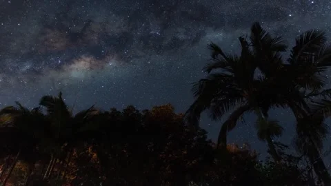 Time Lapse of a Starry Sky over Palm Trees 2 Stock Footage 269502898