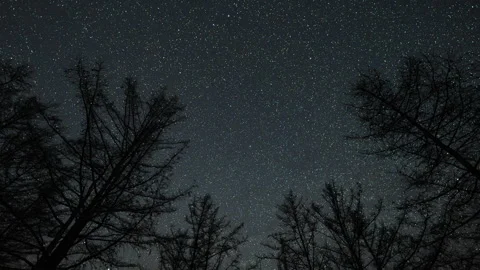 Time lapse of starry sky with over forests. Polar star in the center Video stock 309492861