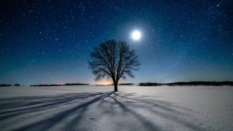 Time-lapse of a Starry Sky Over a Lone Tree in a Snowy Field. Stock Footage 315379469