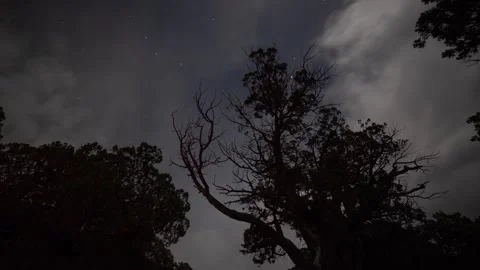 Time lapse of stars and clouds above the trees with campfire glow Stock Footage 275589876
