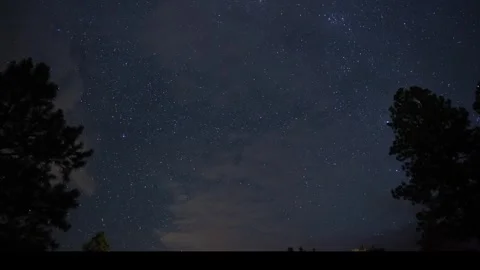 Time lapse of stars beyond thin clouds above a pine forest Stock Footage 248185916