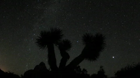Time Lapse of Stars - Clip 1 Stock Footage 865853