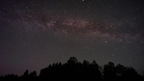 Time lapse of stars, including the Milky Way, move above a silhouette forest Stockbeeldmateriaal 281551792