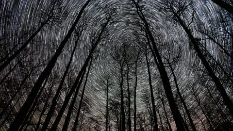 Time lapse of start trails circling the north star Stock Footage 169047483