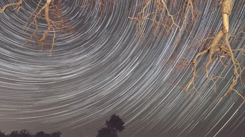 Time lapse of startrails moving across sky in front of tree branches Stock Footage 47770275