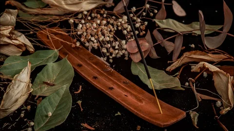 Time Lapse of stick holder and incense stick with leaves and flowers Stock Footage 128629377