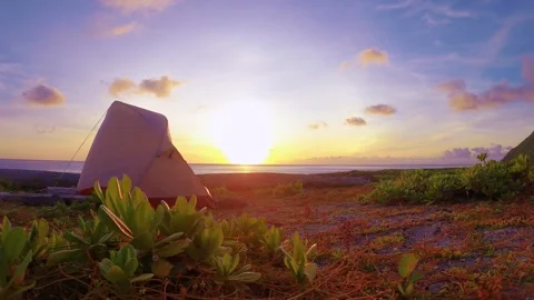 Time lapse still view of sunrise look out to ocean horizon and a single person t Stock Footage 313346149